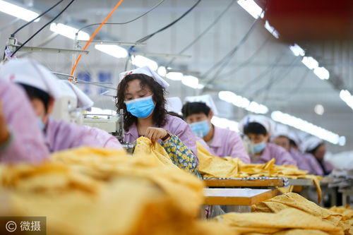 微攝第一現場 2021年第49天 圖片里的世界