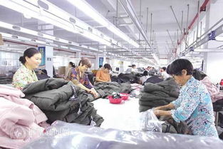 宿州市埇橋區已建扶貧工廠87家 提供就業崗位5105個