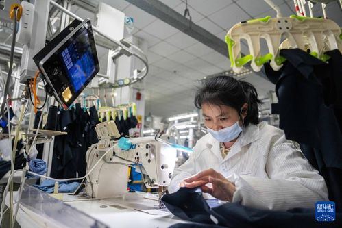 湖南沅江 服飾產業 智 造上線