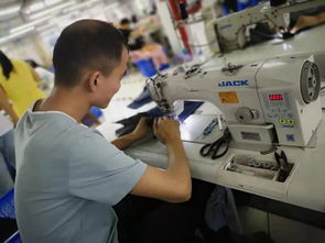 走進商戶工廠重地,探索杭產女裝快反秘訣